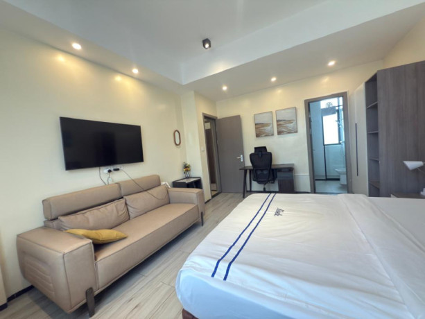 nyarutarama-beautiful-furnished-apartment-for-rent-in-kigali-big-3