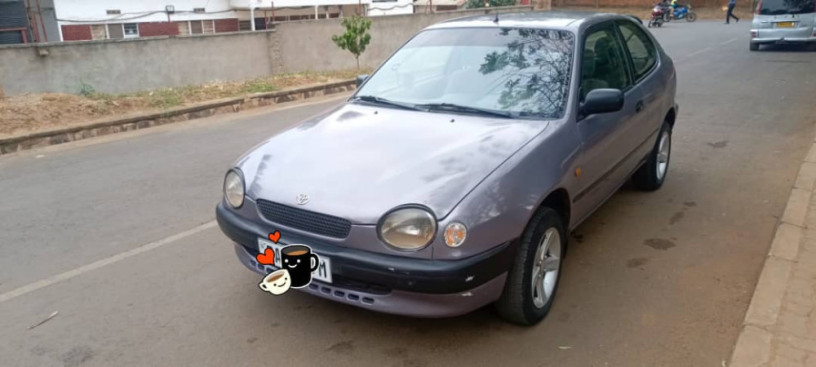 toyota-maco-big-1