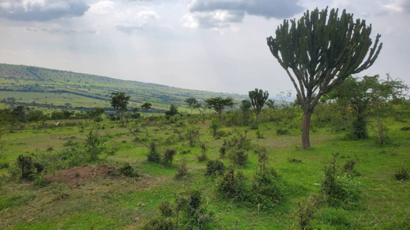 land-for-sale-in-nyagatare-karangazi-big-2