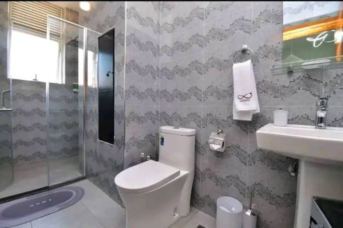 hello-folks-furnished-apartment-big-4