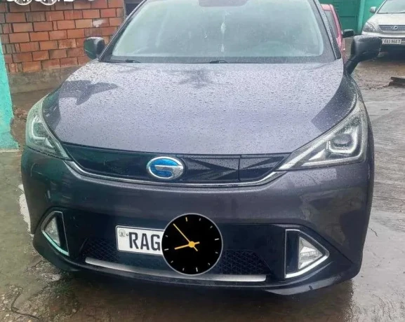 trampuchi-for-sell-big-1