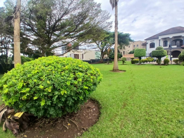 comercial-property-for-rent-in-kacyiru-prime-location-big-5