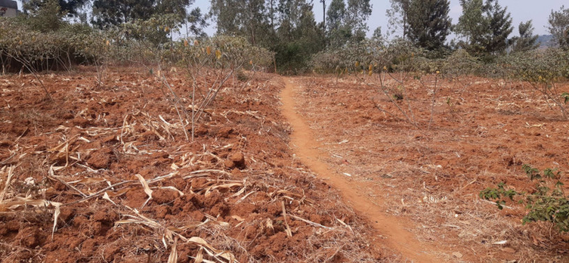 residential-plot-for-sale-in-bugesera-near-airport-hot-deal-big-0