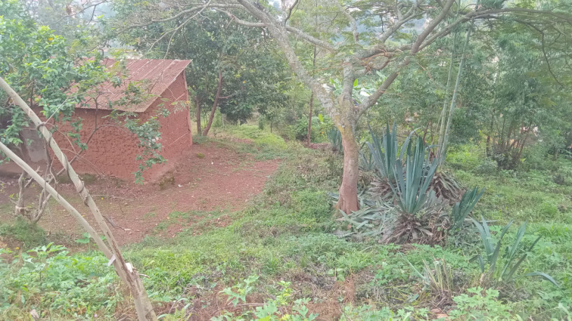 plot-for-sale-in-nyamirambo-mumena-big-6