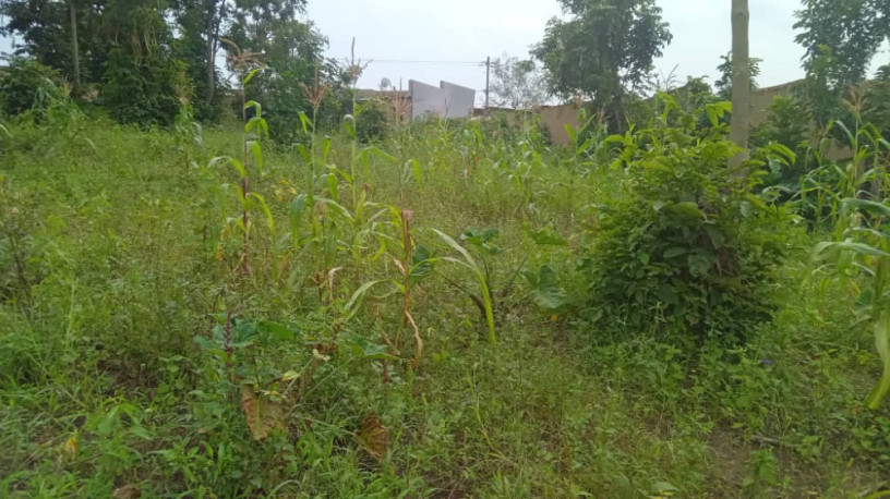 land-for-sale-in-batsinda-kagugu-big-9