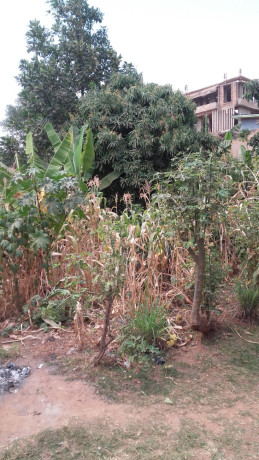 largest-land-for-sale-with-a-house-big-8