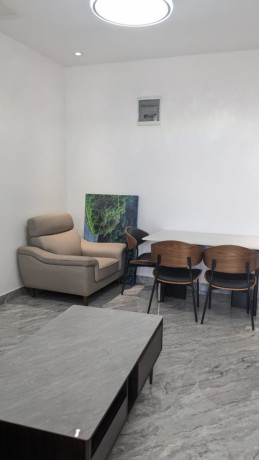 bb-019-kibagabaga-bright-and-new-fully-furnished-apartments-for-rent-big-9
