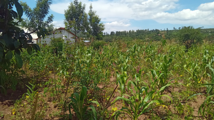 large-plot-for-sale-in-bugesera-big-10