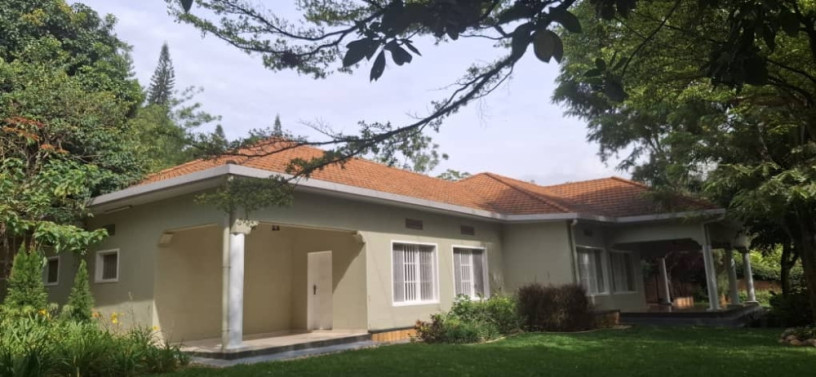 kigali-house-for-rent-in-kiyovu-big-1