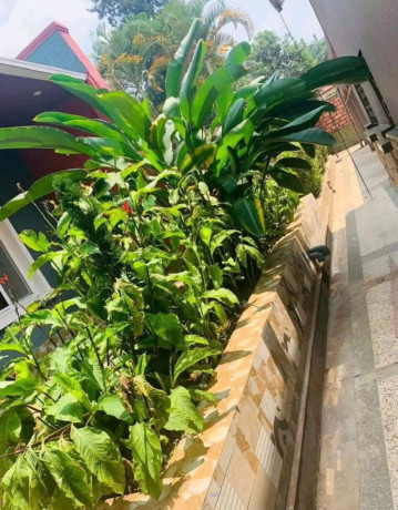 kigali-fully-furnished-apartment-for-rent-in-kiyovu-big-0