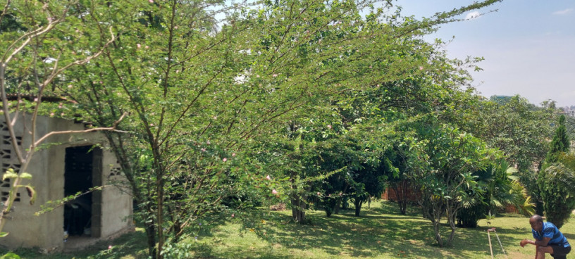 unfurnished-house-available-for-rent-at-kacyiru-big-2