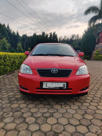 toyota-hatchback-big-0