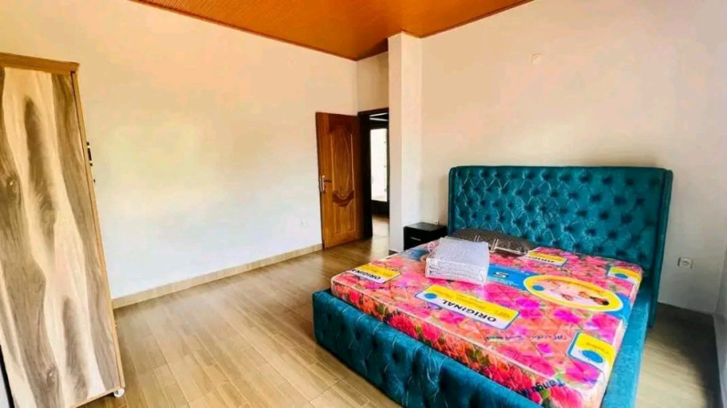 remera-near-bk-arena-furnished-apartment-for-rent-big-3