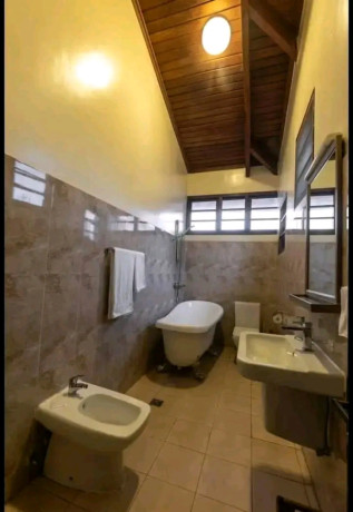 nice-stylish-furnished-house-for-rent-in-kacyiru-prime-location-big-11
