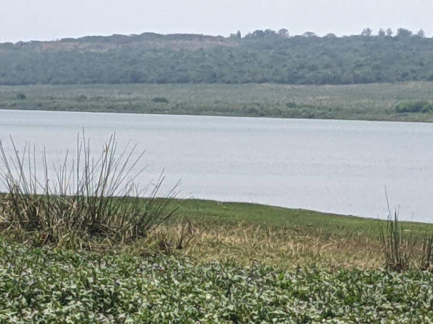 bugesera-land-for-sale-in-rilima-big-0