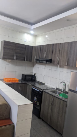30-sonatube-very-nice-new-full-furnished-apartment-for-rent-big-4