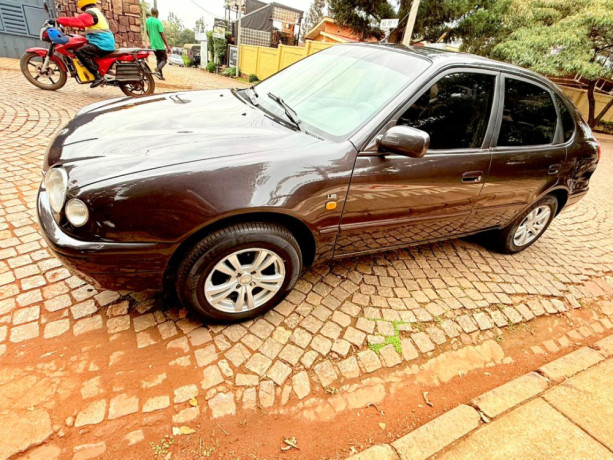 toyota-maco-big-4