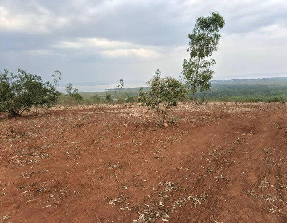 bugesera-plots-for-sale-in-kanzenze-big-7