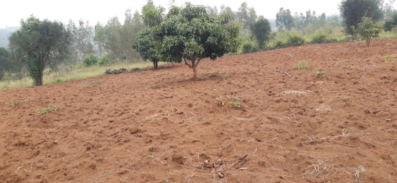 industrial-land-for-sale-in-bugesera-near-airport-of-rwanda-big-0