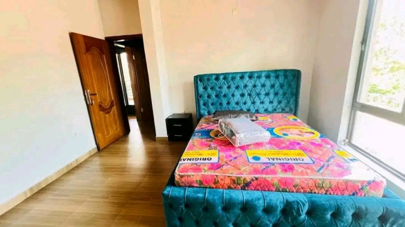 remera-near-bk-arena-full-furnished-apartment-for-rent-big-3