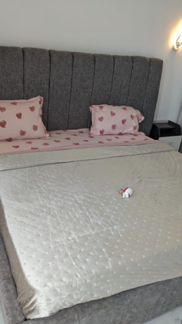 tb039-kibagabagakibagabaga-biggest-fully-furnished-house-for-rent-big-6