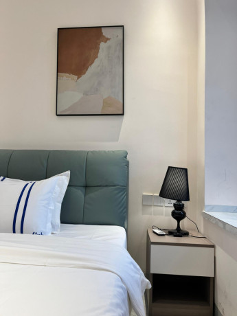 kigali-fully-furnished-apartment-for-rent-in-kiyovu-big-3