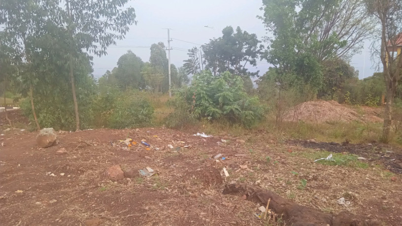 kigali-land-for-sale-in-rebero-big-9