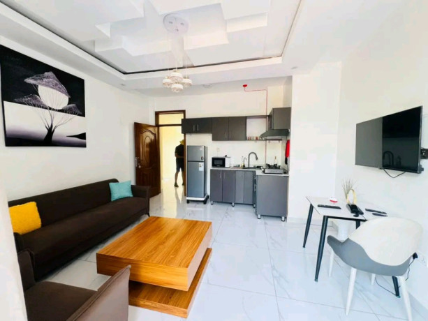 remera-furnished-apartment-for-rent-big-1