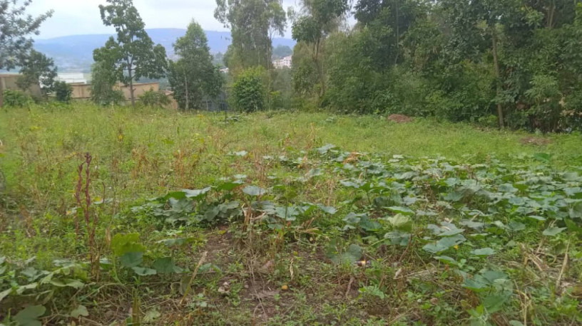 land-for-sale-in-batsinda-kagugu-big-0