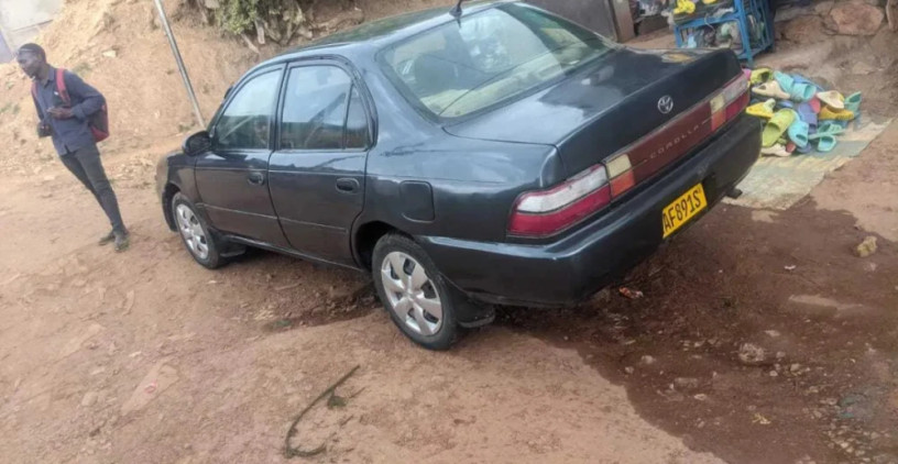toyota-gikumi-big-3