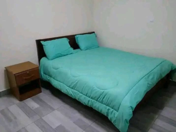 furnished-apartment-for-rent-in-kagug-big-2
