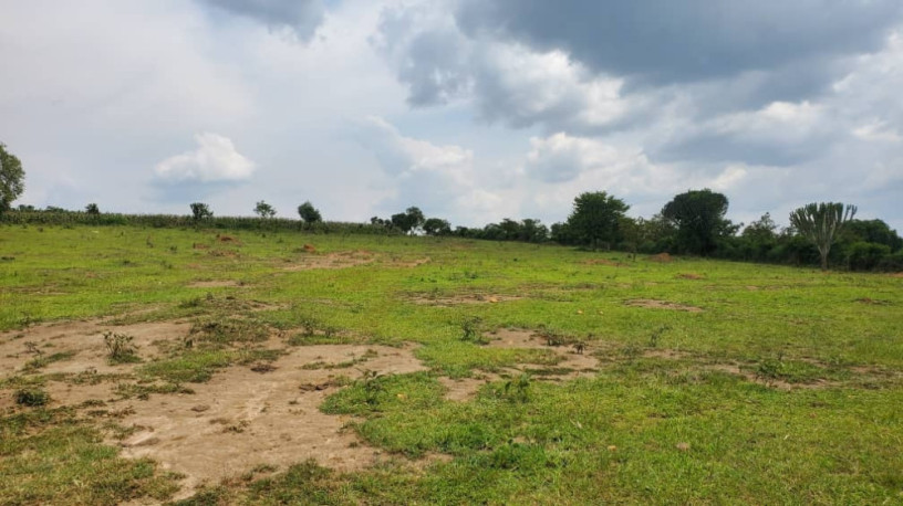 land-for-sale-in-nyagatare-karangazi-big-1