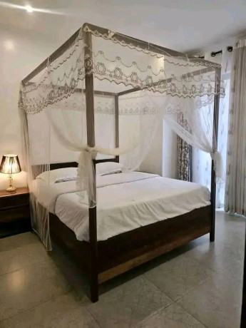 nyarutarama-near-mtn-furnished-apartment-for-rent-big-5