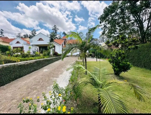 nice-full-furnished-house-for-rent-with-big-garden-at-gaposho-estate-big-7