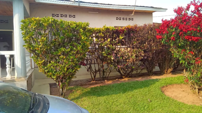 kigali-house-for-sale-in-remera-big-2