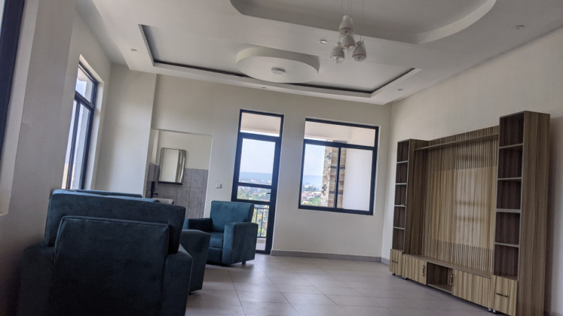 bs-10-kagugu-luxury-furnished-apartment-for-rent-big-9