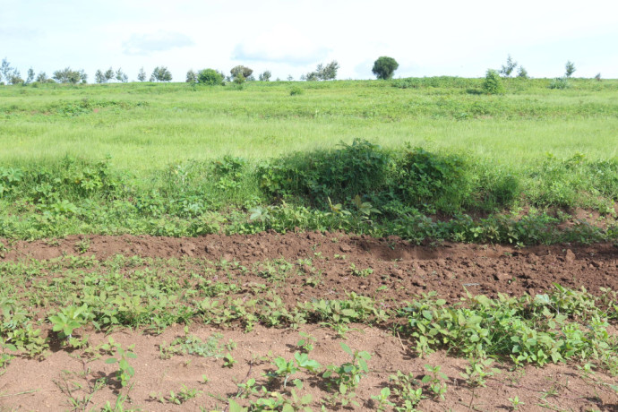 land-for-sale-in-bugesera-nyamata-town-of-rwanda-big-1