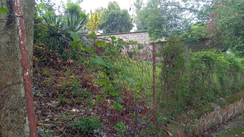 kigali-land-for-sale-in-kiyovu-big-1