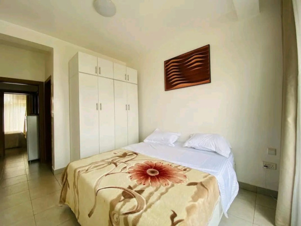 bs-62-fully-furnished-apartment-for-sale-in-kagugu-big-8