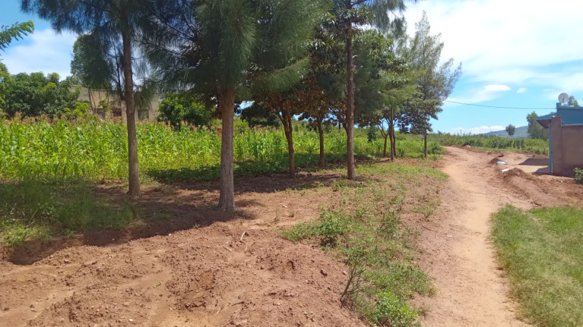 large-plot-for-sale-in-bugesera-big-2