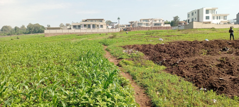 ikibanza-kigurishwa-kinyinya-kuri-kaburimbo-big-2