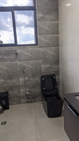 bb009-kibagabaga-very-nice-fully-furnished-apartment-for-rent-big-3