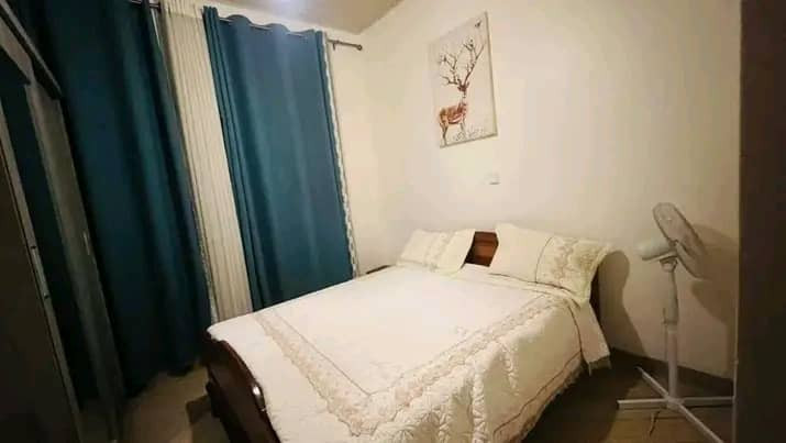 furnished-apartment-for-rent-big-10