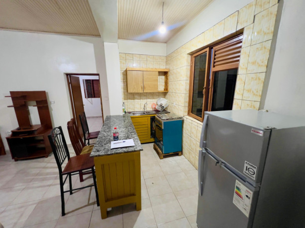 remera-furnished-apartment-for-rent-in-kigali-big-1
