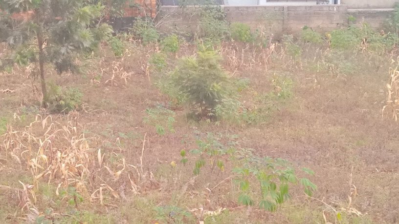 kigali-2-different-plots-for-sale-in-rebero-big-8