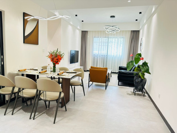 kiyovu-very-nice-luxurious-apartment-for-rent-in-kigali-big-0