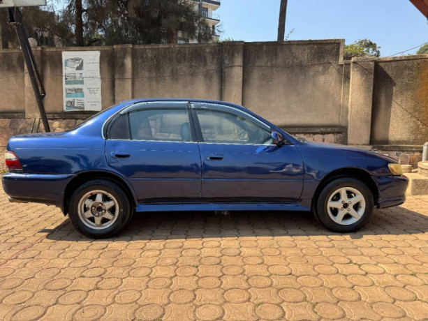 toyota-corolla-big-2