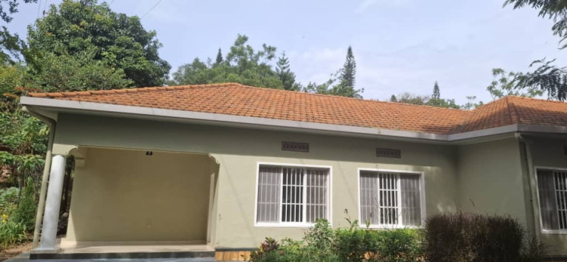 kigali-house-for-rent-in-kiyovu-big-0