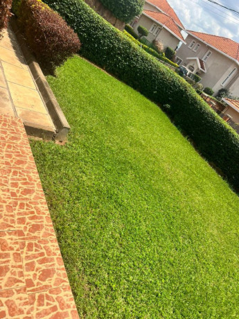 ep-041a-rusororo-rusororo-very-nice-house-for-rent-in-estate-with-spacious-garden-at-700k-big-2