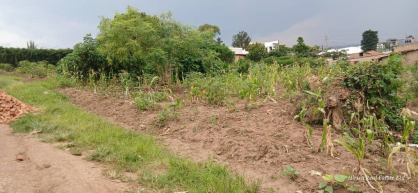 plot-for-sale-at-kinyinya-big-12